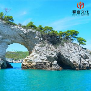 欧美成电影综合网站色www
